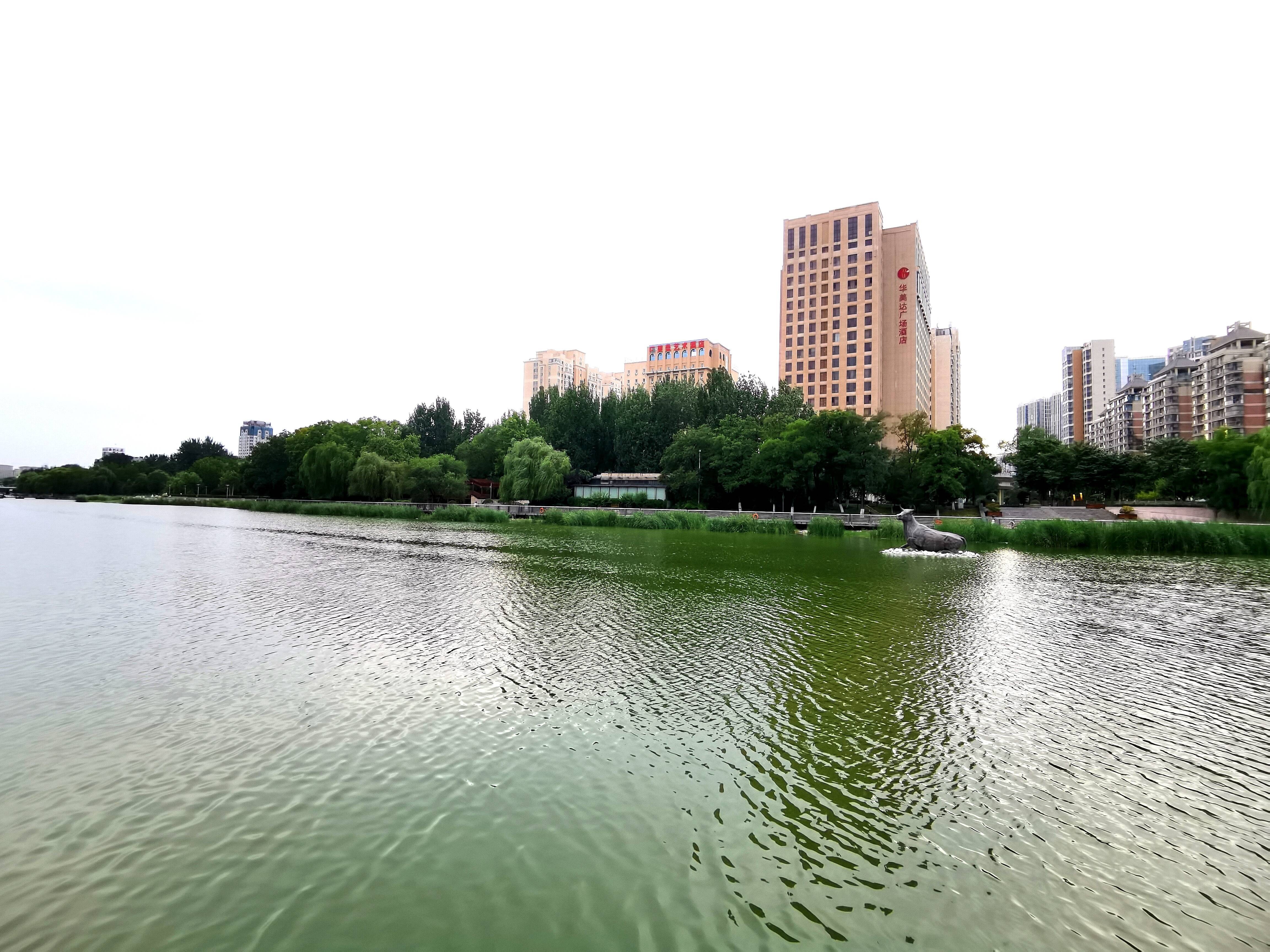 “濰”美游園 “坊”間探幽丨這個公園里藏著會“鎮水”的鐵牛