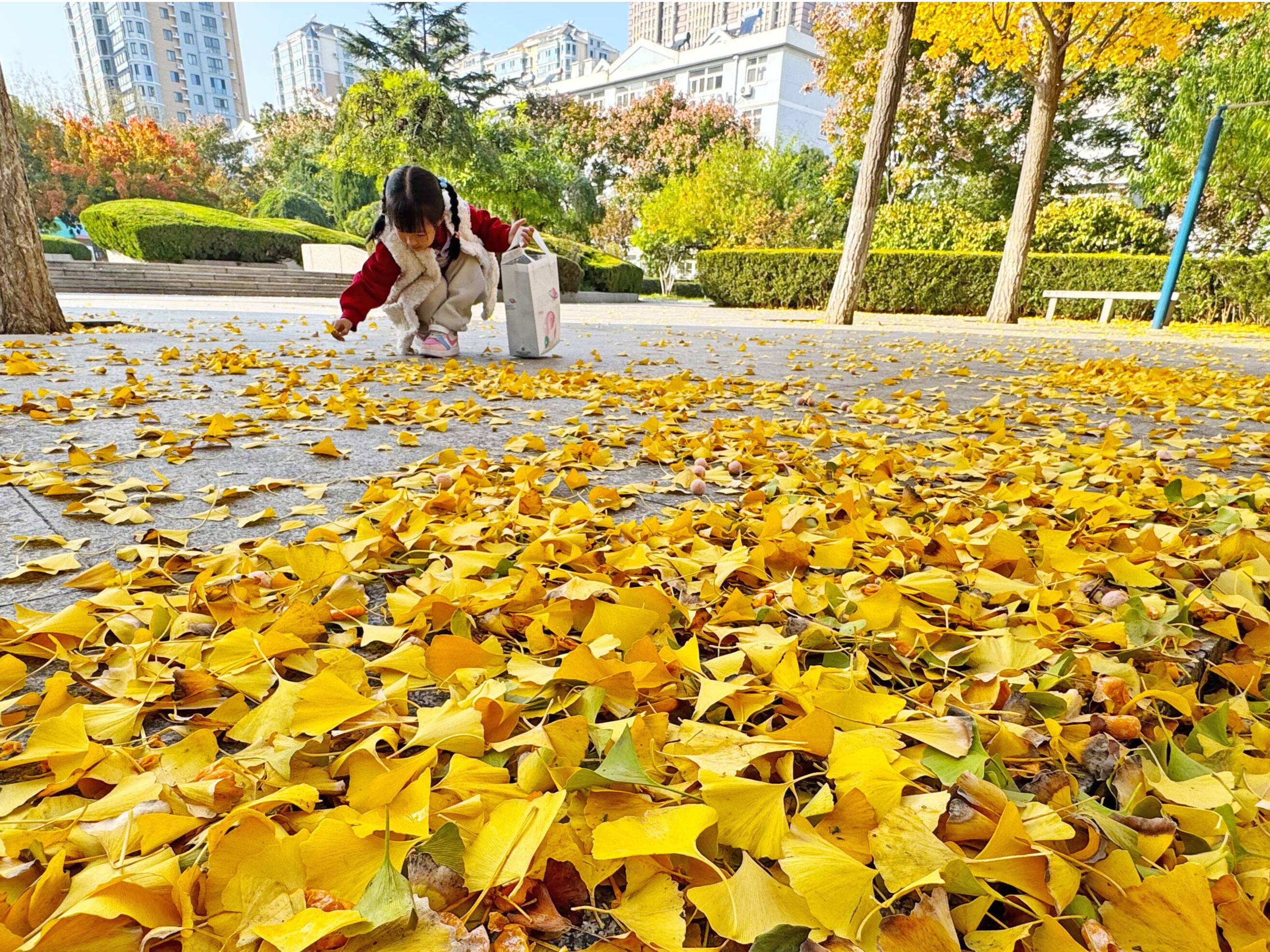 “落叶缓扫”，为居民“留住”秋日浪漫