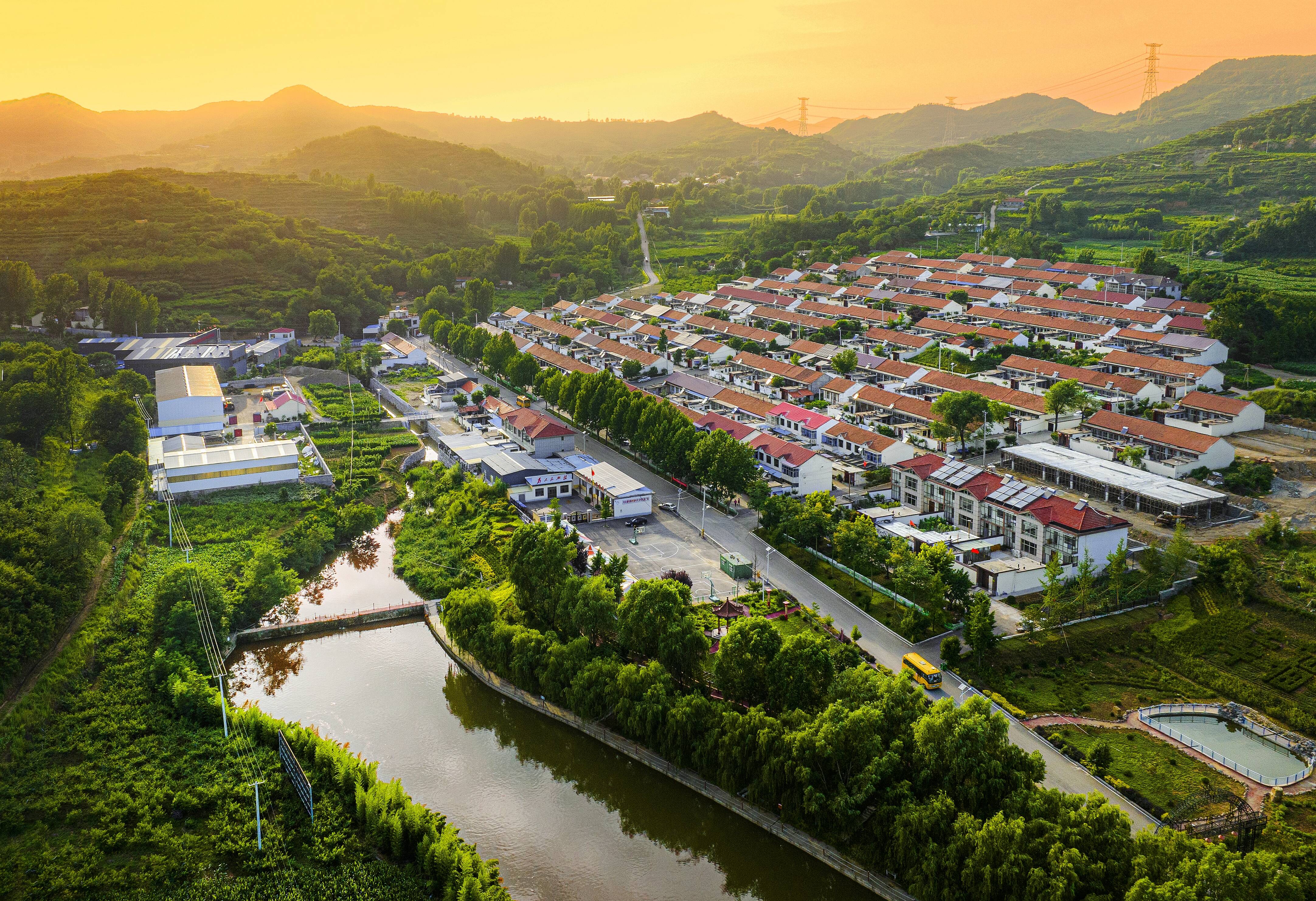 “濰坊路徑”何以成為“必由之路”？ ——濰坊農(nóng)業(yè)產(chǎn)業(yè)化30周年走筆（上）