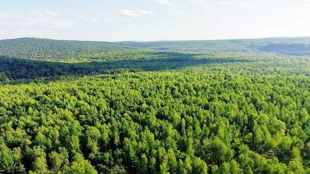 两部门发文严格生态环境监测机构“准入关”