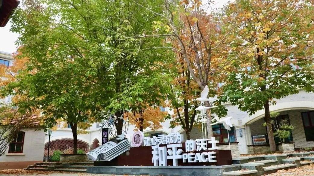 第九屆教育攝影展播 | 這些鏡頭里的濰坊校園，太美了！