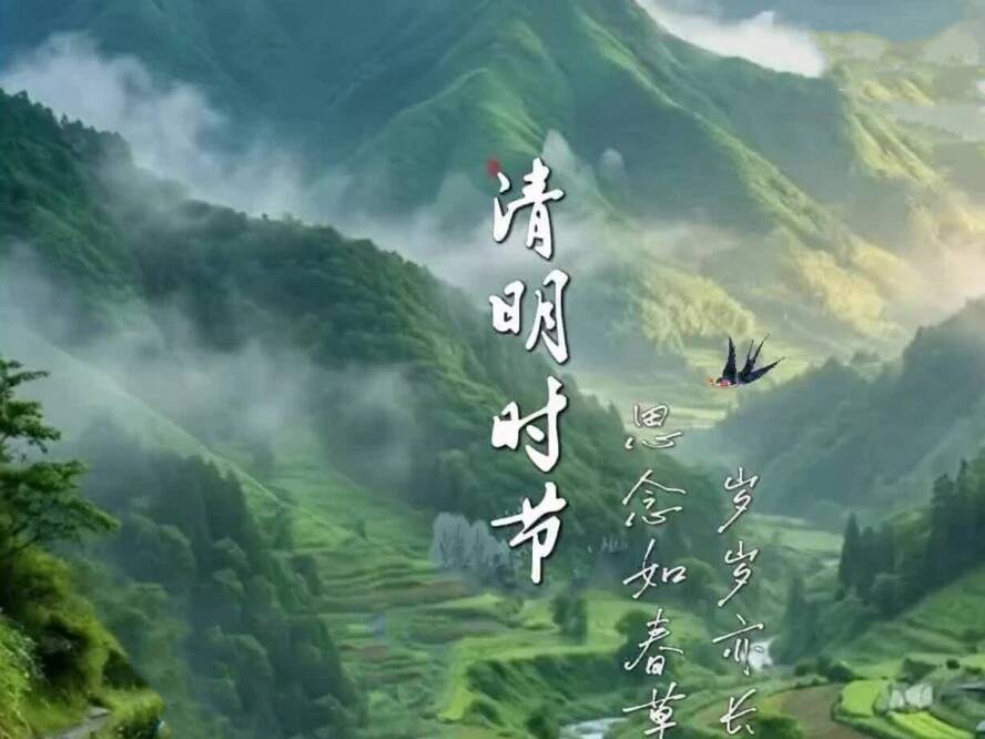 网络中国节·清明 | 春来草又青，思念常在