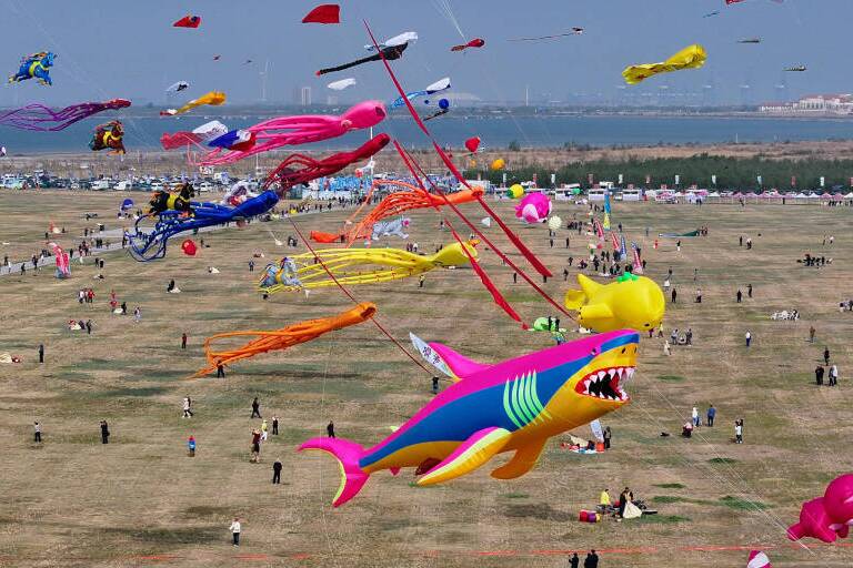 潍坊：一场盛会与一座城的双向奔赴