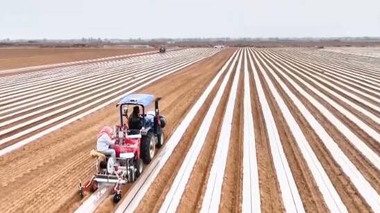 全国春耕春管进展顺利 早稻育秧基本结束