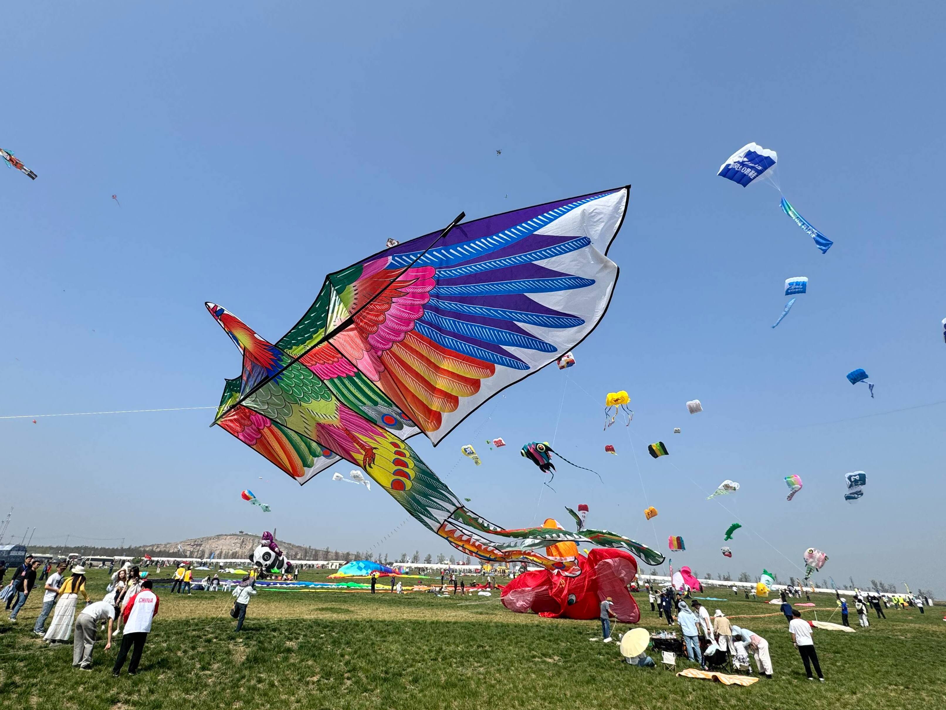 你好世界风筝都 | 第一波美图来了！第43届潍坊国际风筝会现场直击