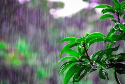 局部11级以上雷雨阵风+小冰雹！山东将出现强对流天气