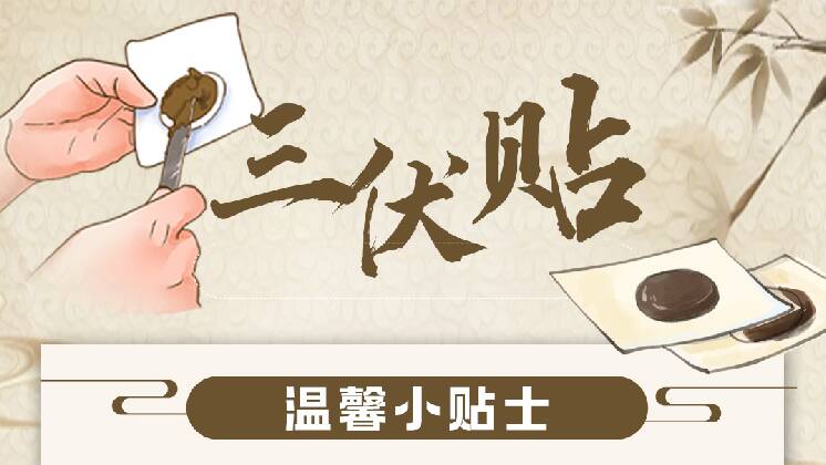 今日入伏！今年“三伏”40天 这份避暑指南请收好