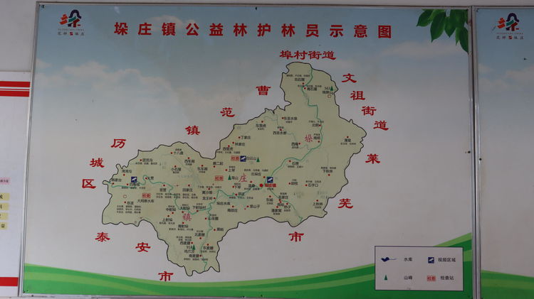 济南市章丘垛庄镇:加强林业标准化建设 共筑绿水青山生态屏障