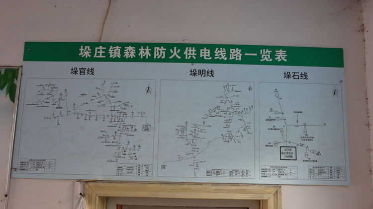 济南市章丘垛庄镇:加强林业标准化建设 共筑绿水青山生态屏障