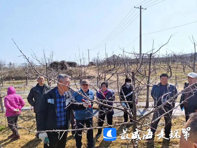 威海市环翠区农技服务下乡桥头镇抓抢农时保障春耕生产